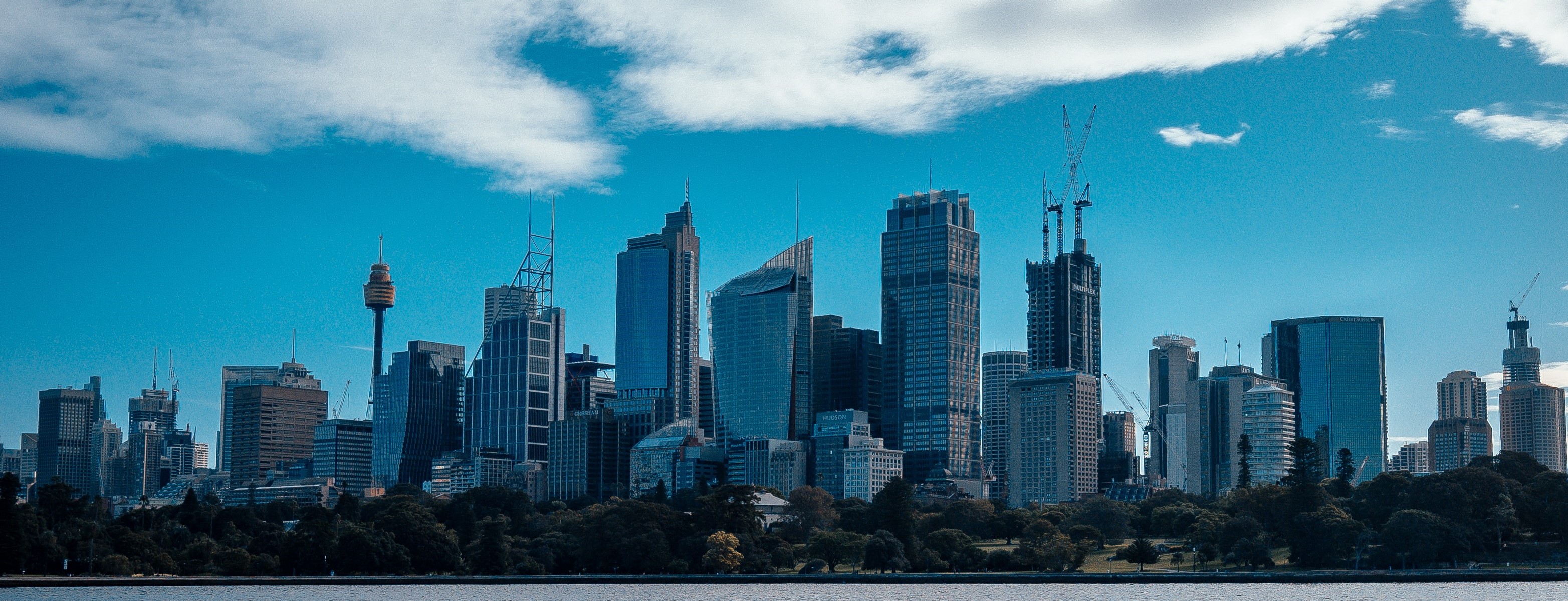 Sydney skyline background